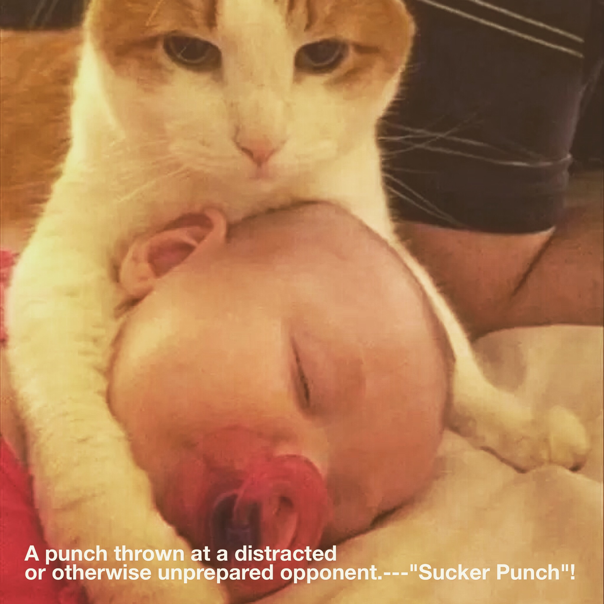 A punch thrown at a distracted or otherwise unprepared opponent.—“Sucker Punch” The Trainer 