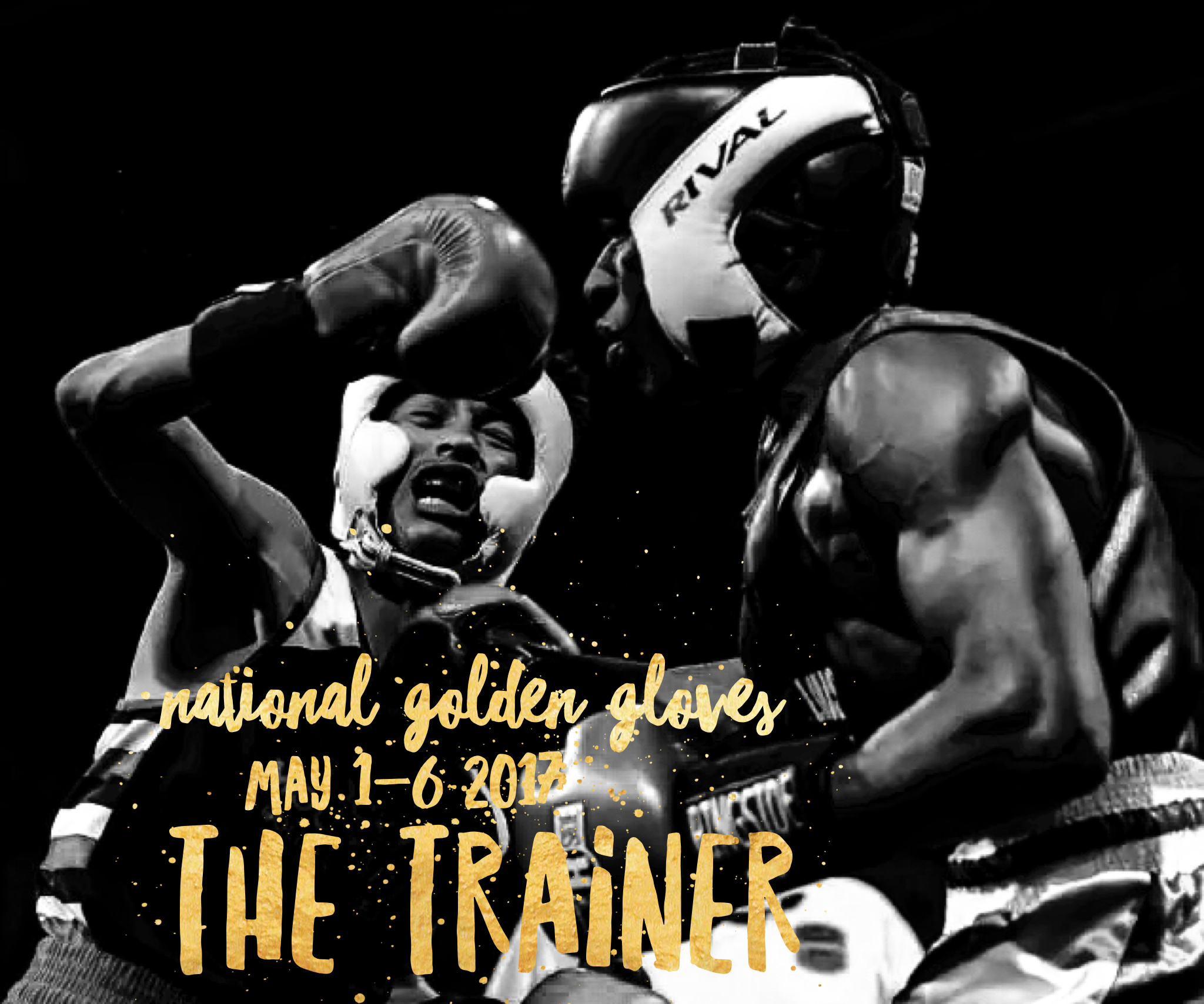 Coming…The Trainer 